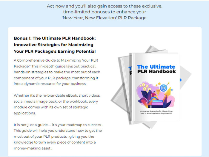 New Year, New Elevation PLR