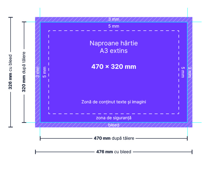 machetă grafică pentru napron A3++