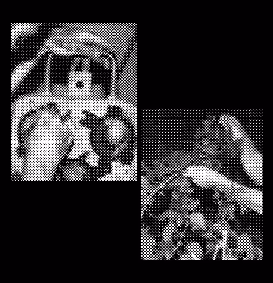 THE HANDS BEHIND KATKOOT