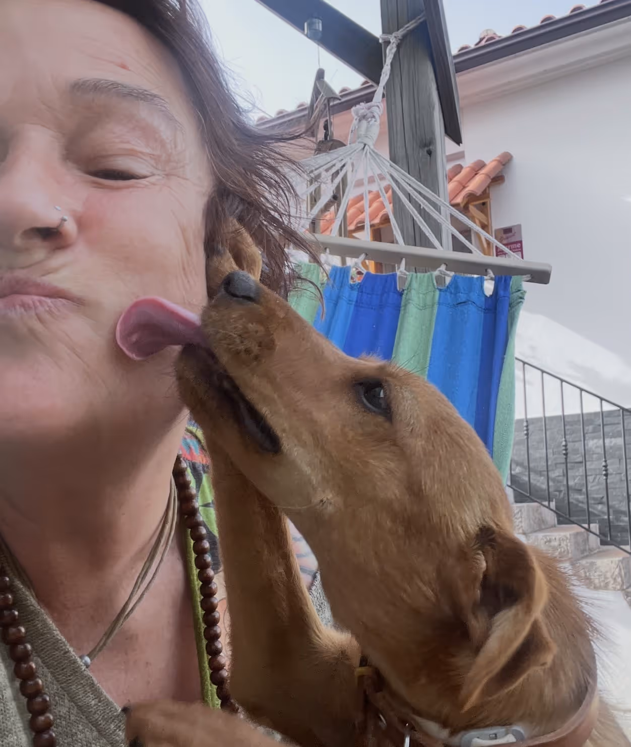 Cão a lamber a bochecha de uma mulher ao ar livre, perto de uma rede com painéis de tecido azul e verde.