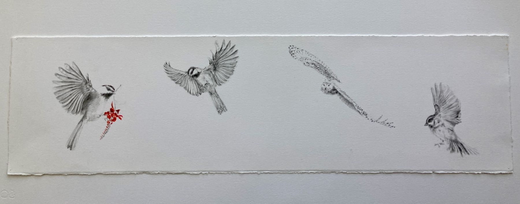 Isabelle Sorrell Birds I