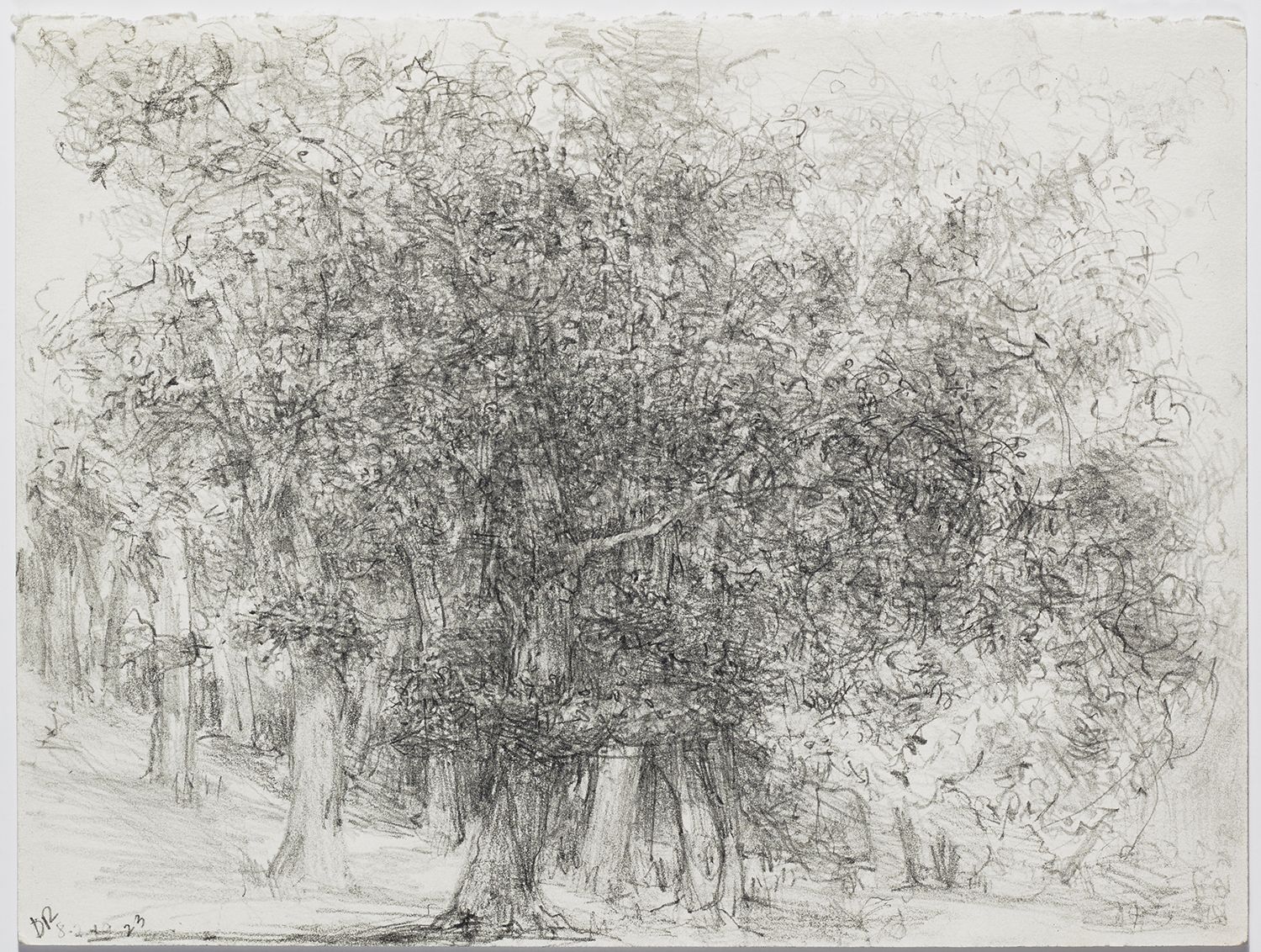 Diane Roby Untitled Drawing 1