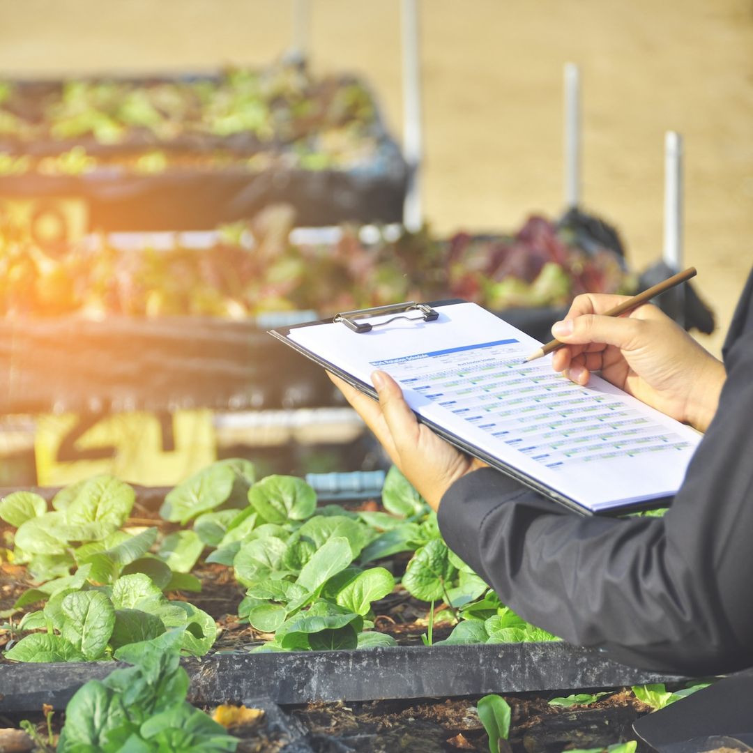 Baking Pastry Arts Program With Hands On Culinary Training Picachef