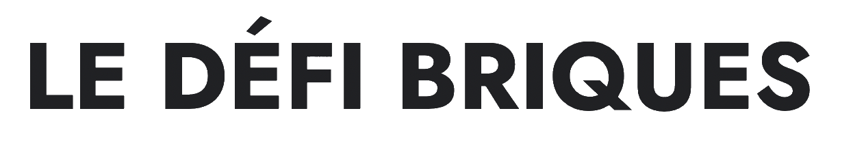 Logo du défi briques