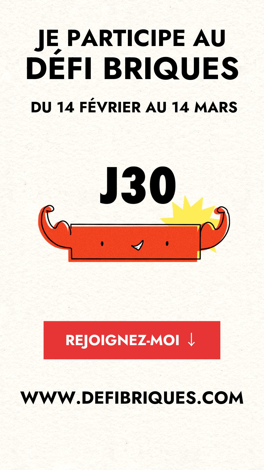 Story à partager du Défi Briques