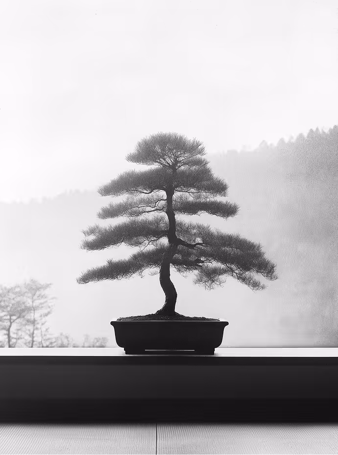 Photographie créée avec l'intelligence artificielle Midjourney d'un bonsai
