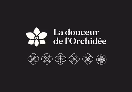 Logo et symboles de la Douceur de l'Orchidée, site de massage