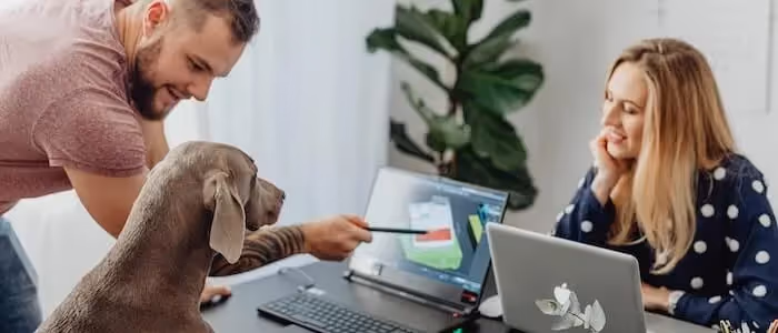 Man presenting his work on a laptop to a dog