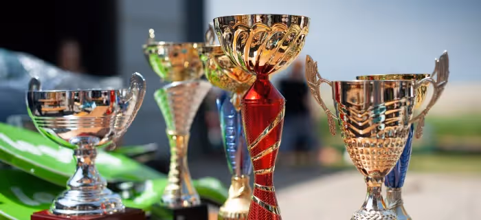 A collection of trophies