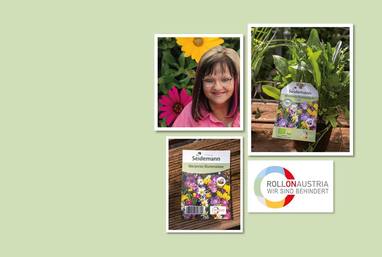 Bild Blumenwiese im Topf