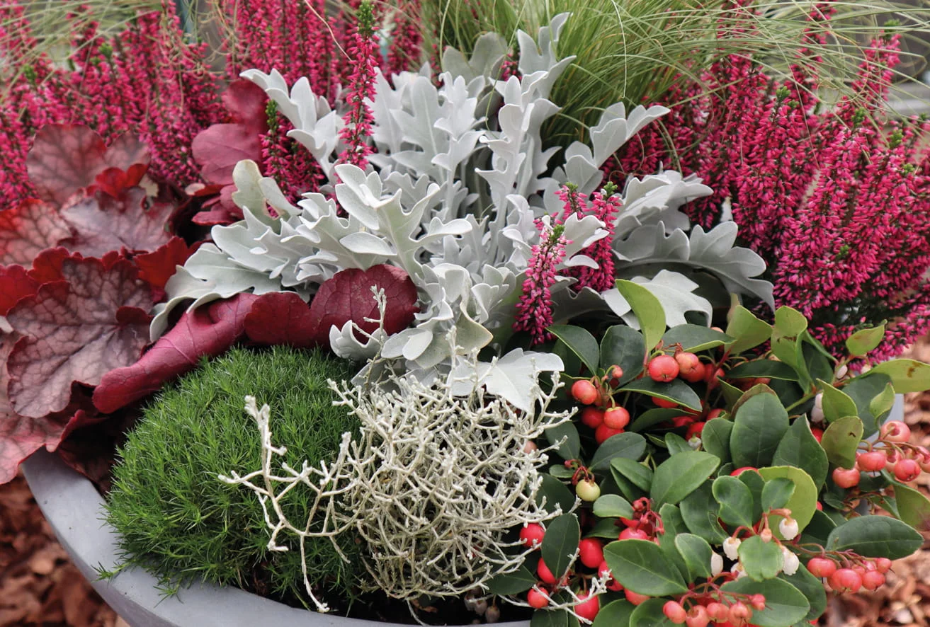 Herbstblumen