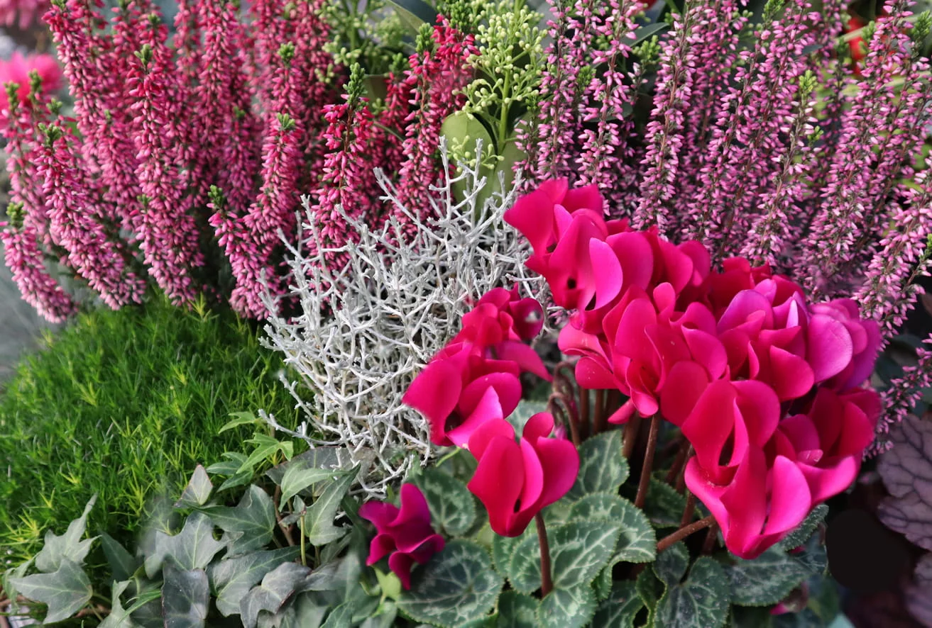 Herbstblumenwelt