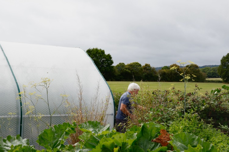 The Inn at Welland - Table image