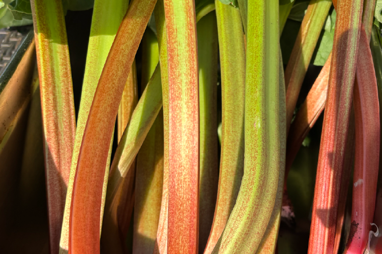 The Inn at Welland - Drink image