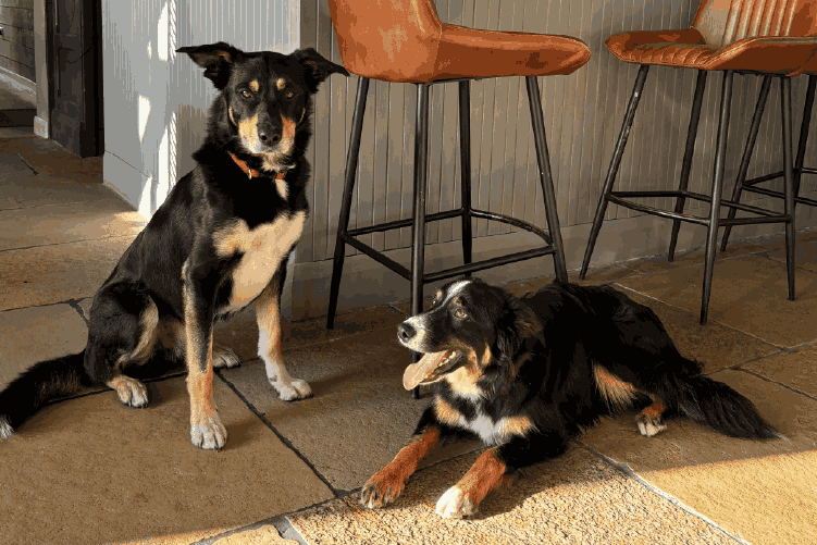 The Inn at Welland - Champagne  image