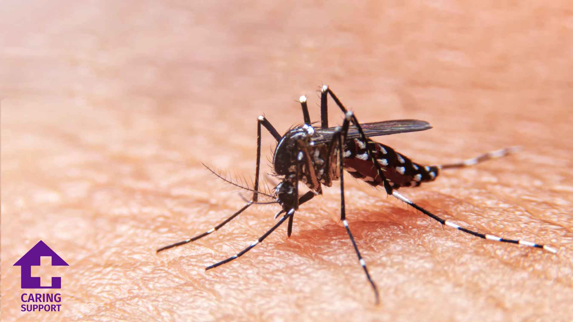 West Nile