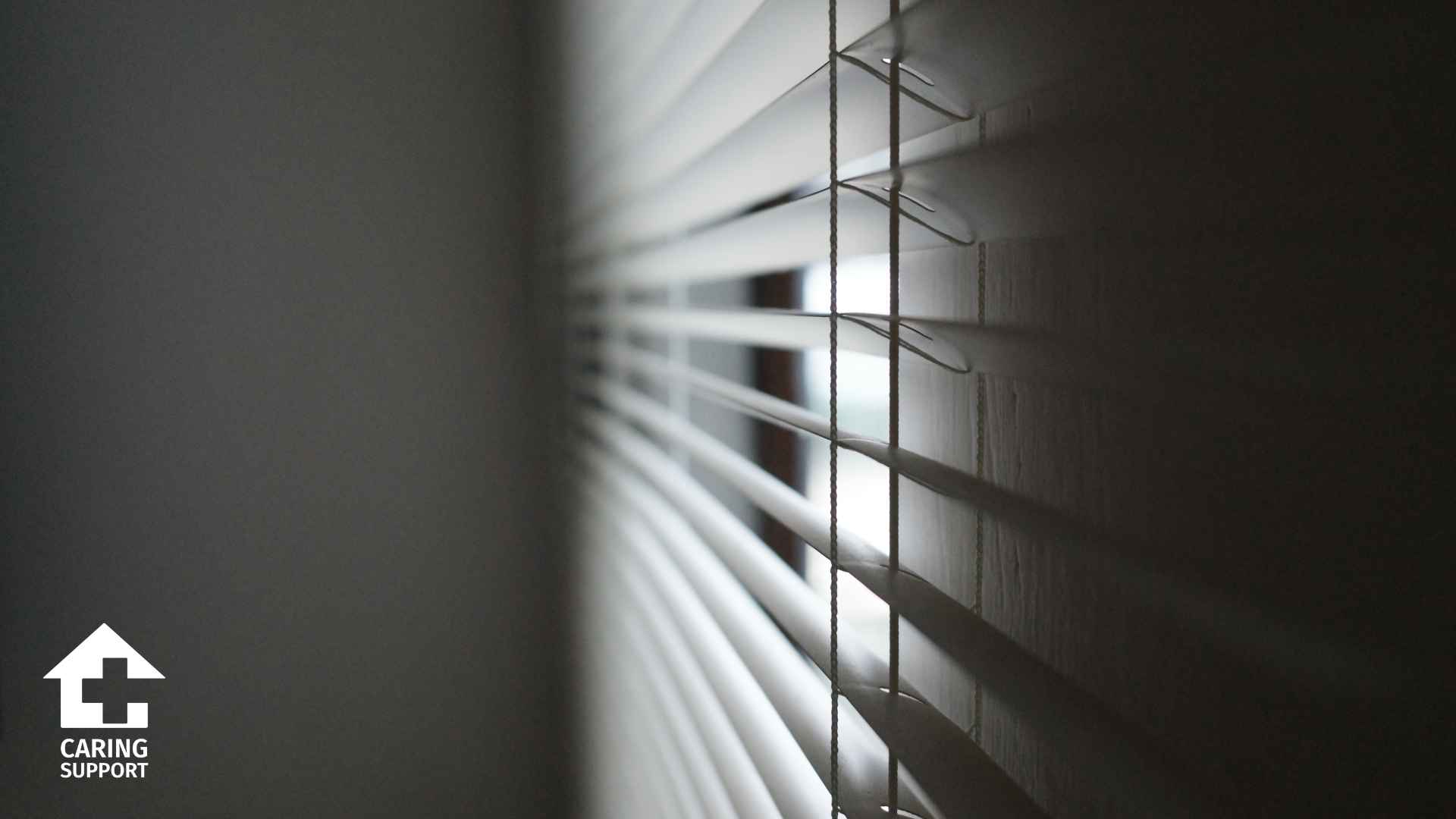 Window Blinds