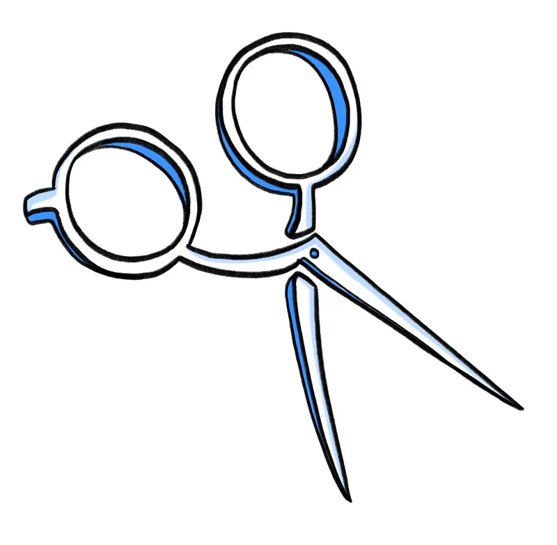 dog groomer salon scissors