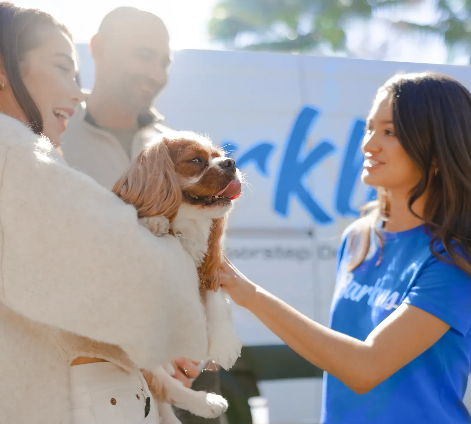 Barkbus