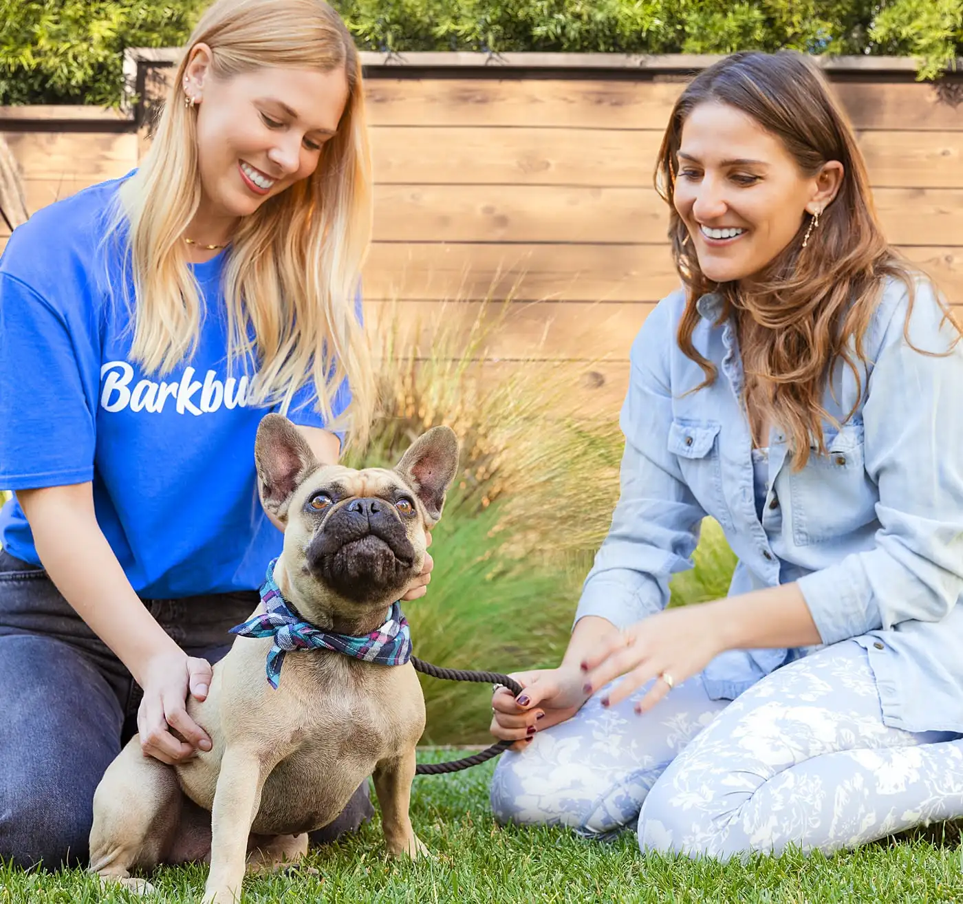 two people sitting on the grass with a happy french bulldog