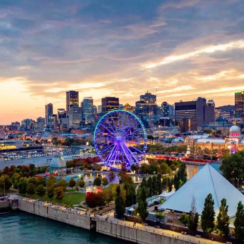 Services Référencement Google Ads