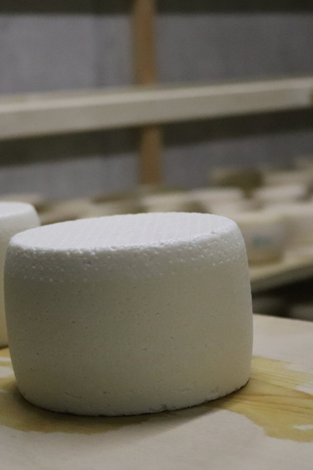 Ziegenkäse, eigene Produktion, eigene Herstellung, Bergbauernmilch, frische Bergbauernmilch, Bergbauernhof, Tadition, Feinschmecker, Südtiroler Spezialitäten, Schweizer Spezalitäten, Lebenmittel aus Südtirol, Ziegenkäserei, Käserei Südtirol, hofeigene Produkte