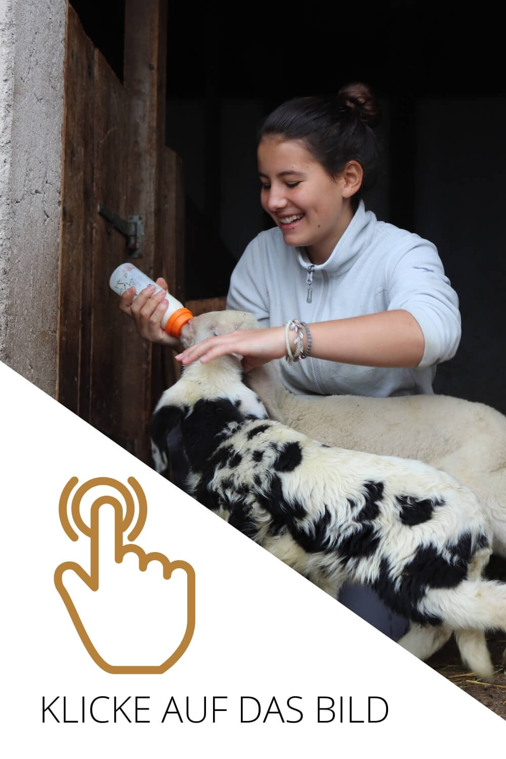 Ziegenkäse, eigene Produktion, eigene Herstellung, Bergbauernmilch, frische Bergbauernmilch, Bergbauernhof, Tadition, Feinschmecker, Südtiroler Spezialitäten, Schweizer Spezalitäten, Lebenmittel aus Südtirol, Ziegenkäserei, Käserei Südtirol, hofeigene Produkte Ziegen füttern Mädchen Bergbauernhof Egghof Erbhof