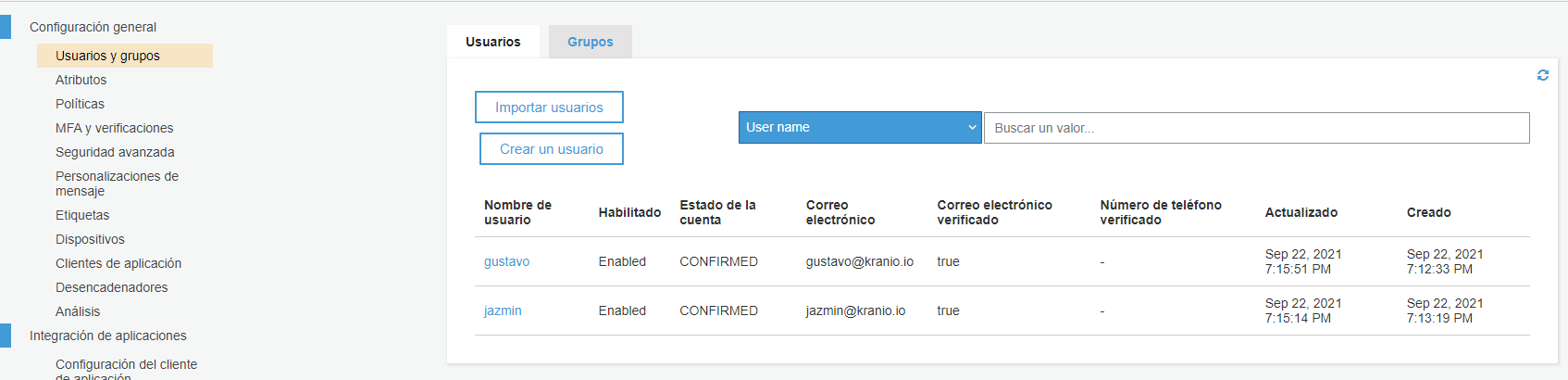 consola de cognito para definir usuarios manulamente