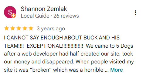 Five Dog Solutions - Website Design Review - Shannon