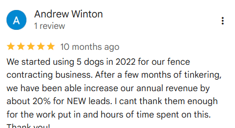 Five Dog Solutions - Website Design Review - Andrew