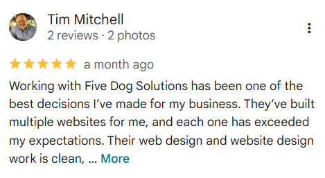 Five Dog Solutions - Website Design Review - Tim Mitchell