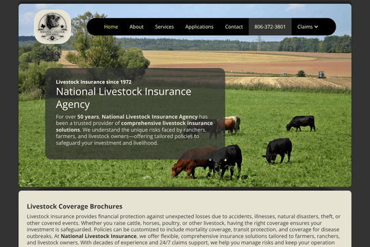Amarillo Website Design - NLI Insurance