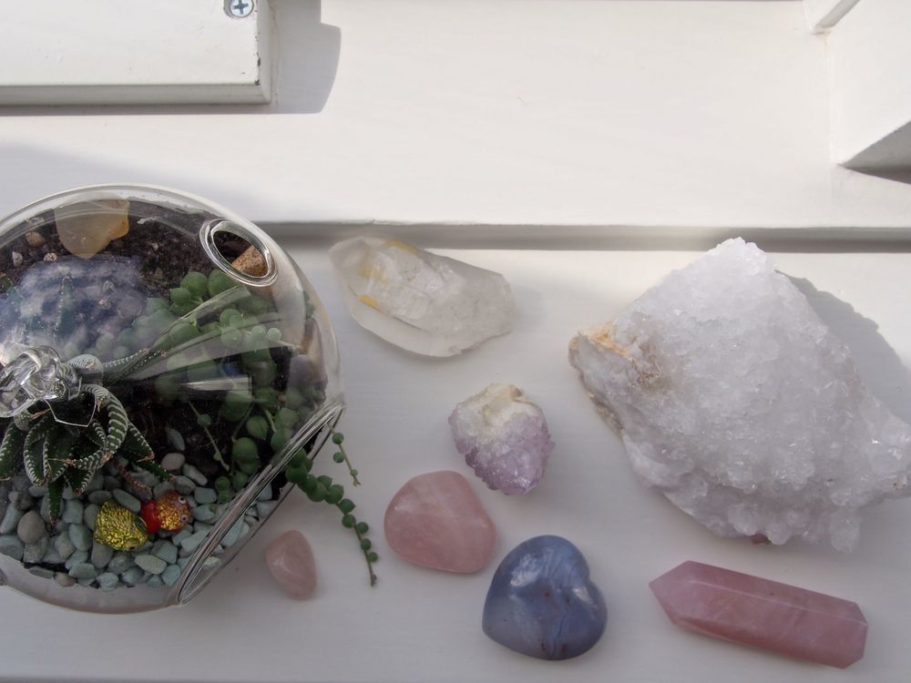 This is my terrarium. I keep it by the windowsill so that it catches the sunlight during the day.