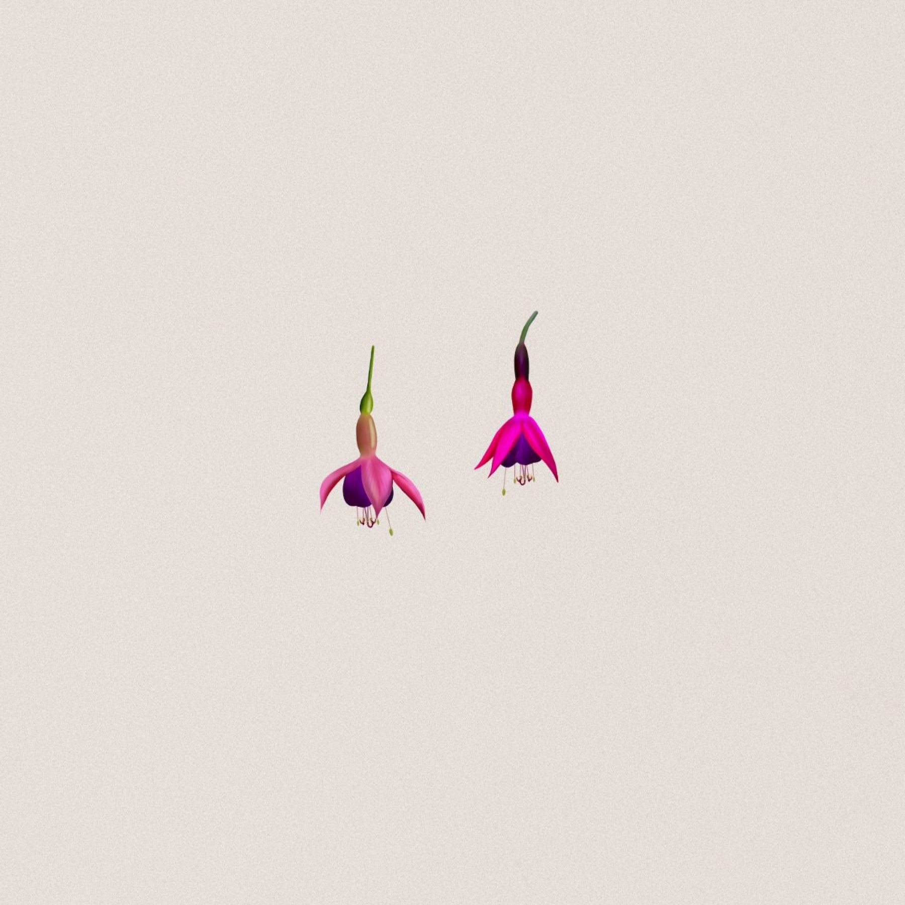 Illustration of pomegranate for nature inspired restaurant designed by Jo ChunYan