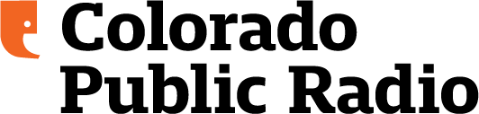 Company/Agency Logo