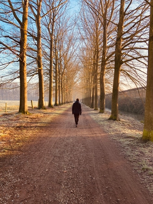 Mooi wandelpad in Schoten dicht bij de bed & breakfast
