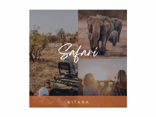 Last Word Kitara