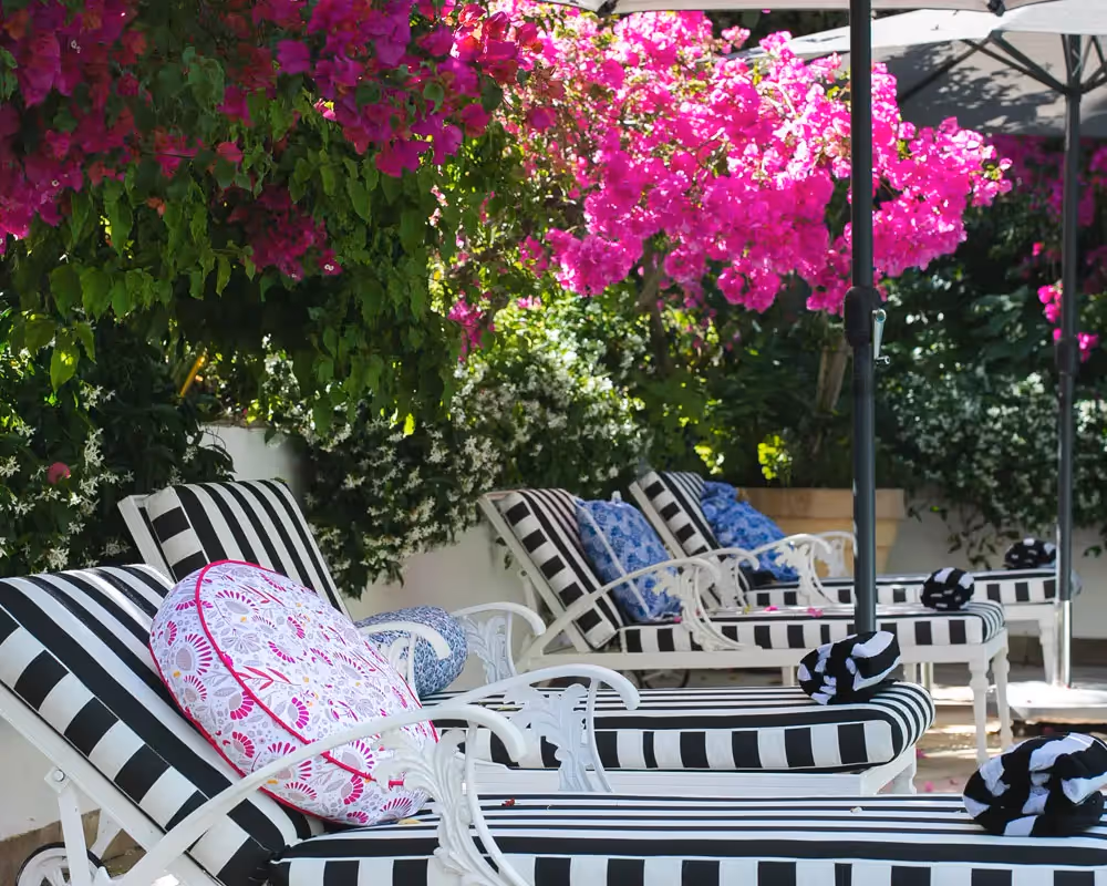 Last Word Constantia in South Africa's first-ever wine region and Cape Town’s sophisticated suburb of Constantia, is a hidden gem. This 5-star boutique hotel’s backyard is a patchwork quilt of noble estates under vines, as steeped in beauty as in historic value, and home to a literal feast of gastronomic delights to boot.