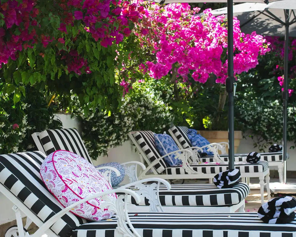 Last Word Constantia in South Africa's first-ever wine region and Cape Town’s sophisticated suburb of Constantia, is a hidden gem. This 5-star boutique hotel’s backyard is a patchwork quilt of noble estates under vines, as steeped in beauty as in historic value, and home to a literal feast of gastronomic delights to boot.