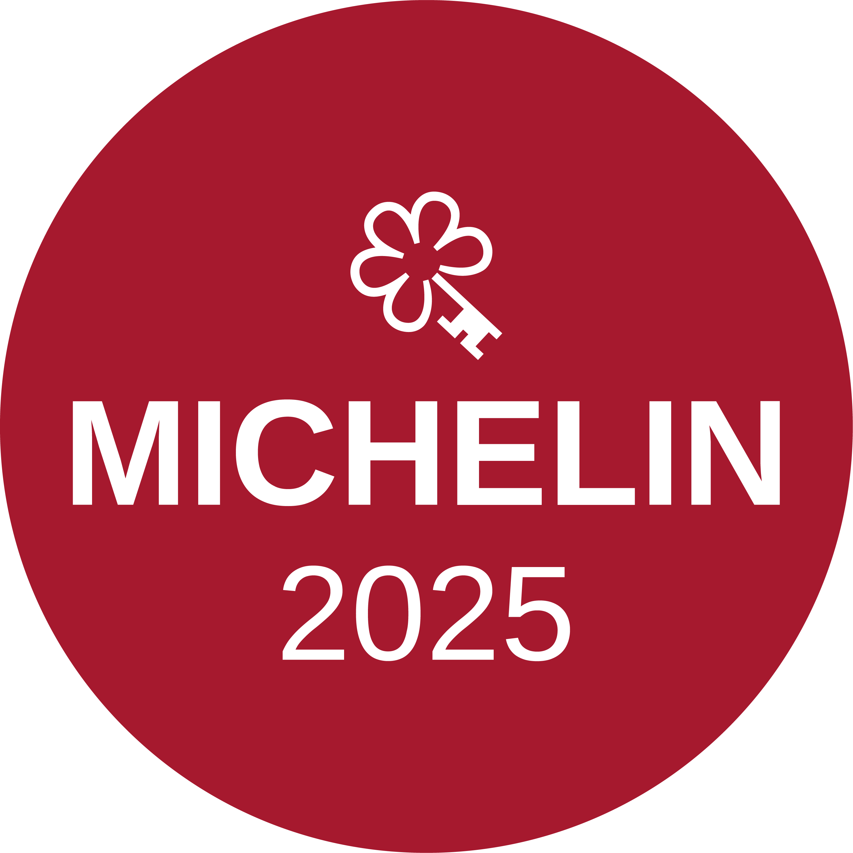 Michelin Key