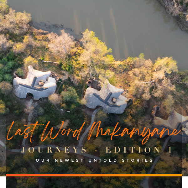 #332:  Last Word Makanyane  Journeys - Edition 1| Our Newest Untold Stories