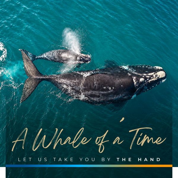 #333: Last Word Long Beach - A Whale Of A Time