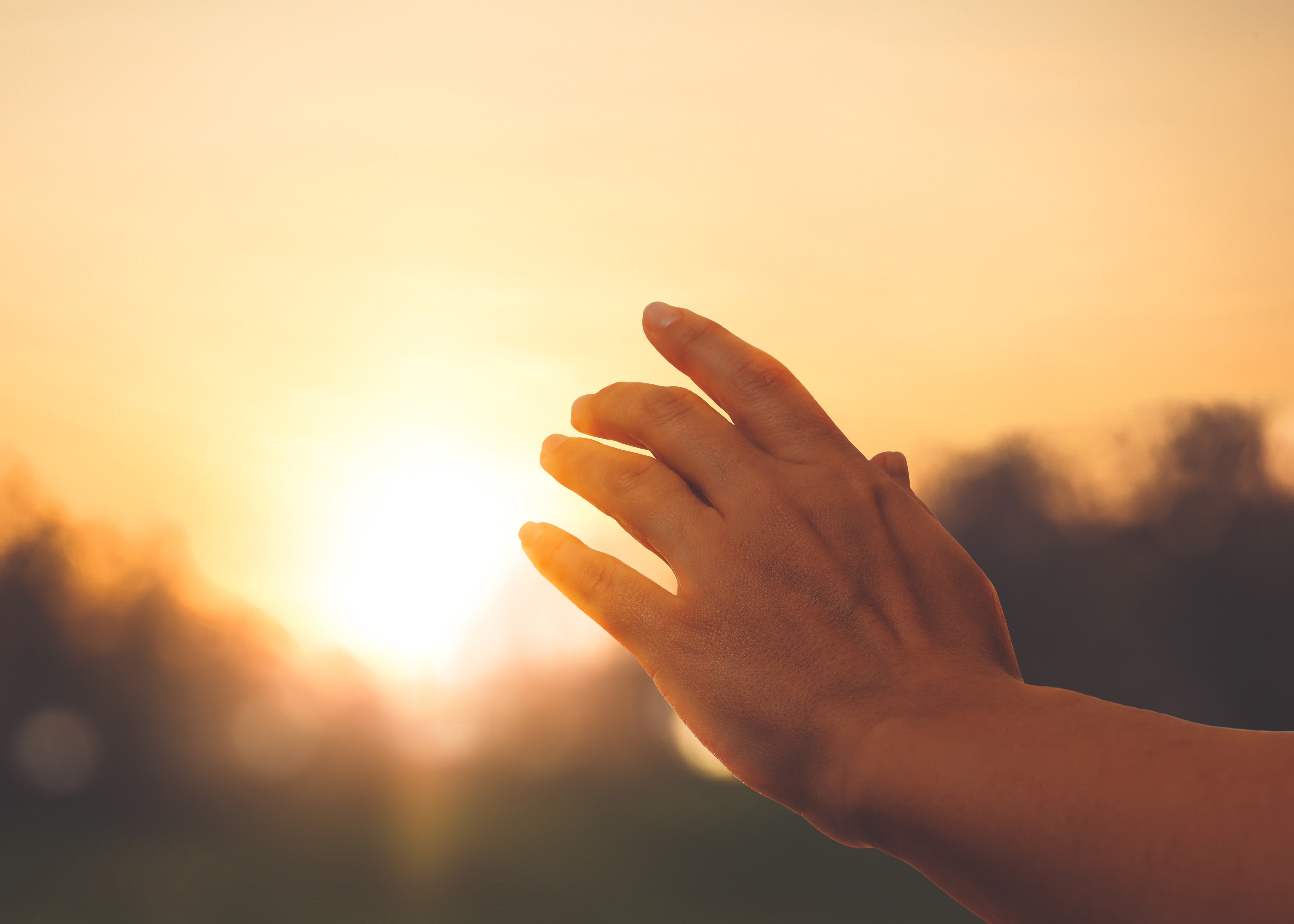 sunset horizon with a persons hand covering the sun
