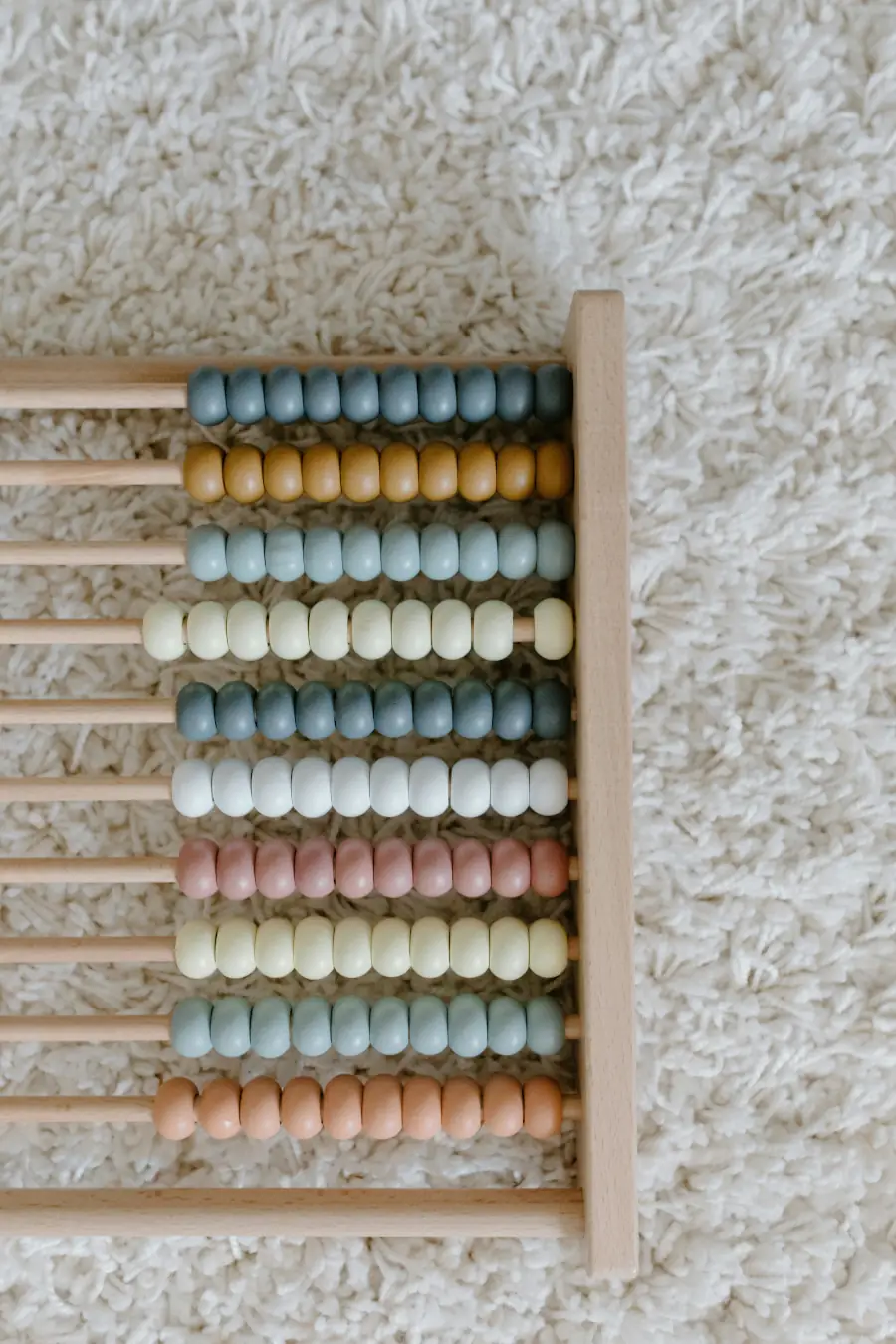 abacus inset.webp