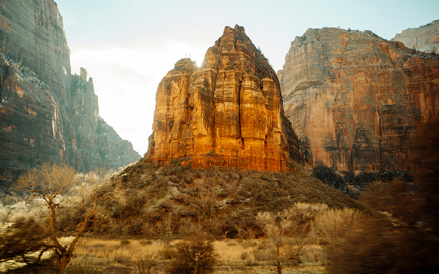 Q4 2025 Review & Q1 2026 Outlook