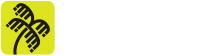 Logo Tempest
