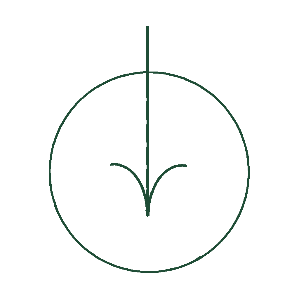 Dark green circular arrow pointing down inside a thin circle on white background.