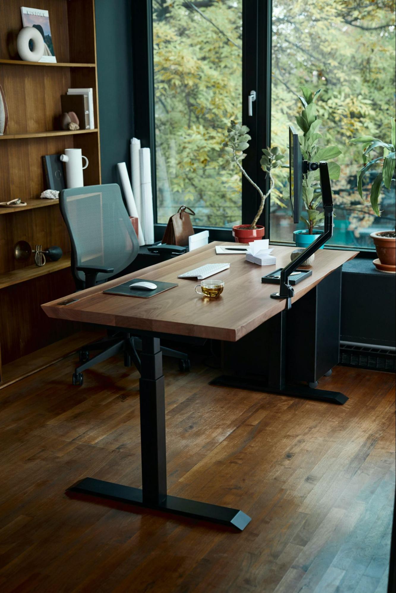 Modern hybrid home office setup with a standing desk, monitor, plants, and natural light