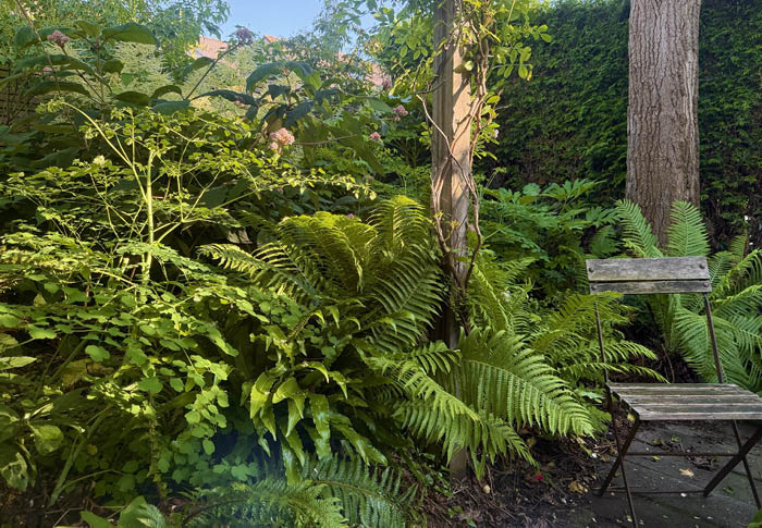 Ontdek waarom groene tuinen onmisbaar zijn in stedelijke gebieden. Lees hoe microklimaat, beplanting en een slim tuinontwerp bijdragen aan verkoeling, wateropvang, biodiversiteit en een gezonde leefomgeving.