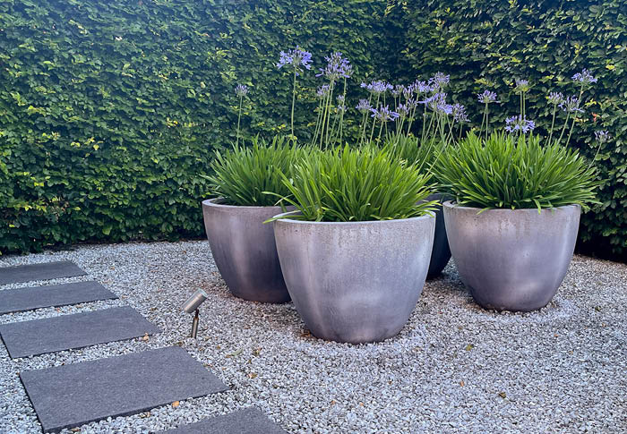 Maak je tuin klimaatbestendig met minder tegels, meer groen en slimme wateropvang. Ontdek praktische tips voor een koelere, waterproof tuin én ontwerp je eigen droomtuin.